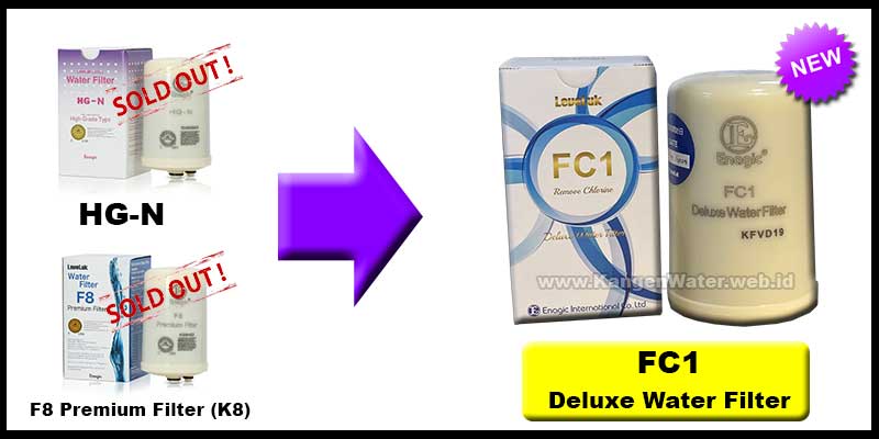 filter fc1 kangen water deluxe water filter enagic