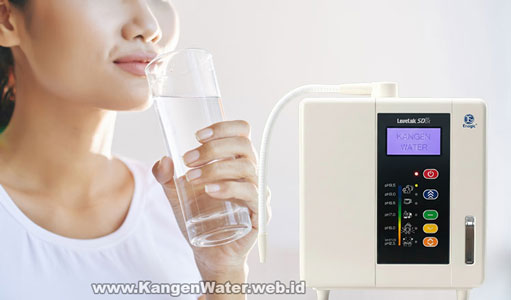 mesin kangen water leveluk sd501 filter air minum