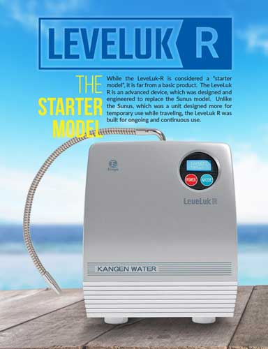 leveluk r enagic harga murah