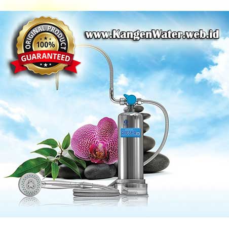 harga penyaring air anespa dx enagic kangen water