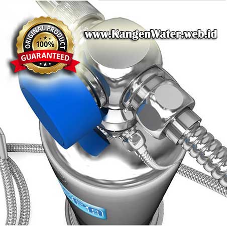 harga anespa dx enagic kangen water