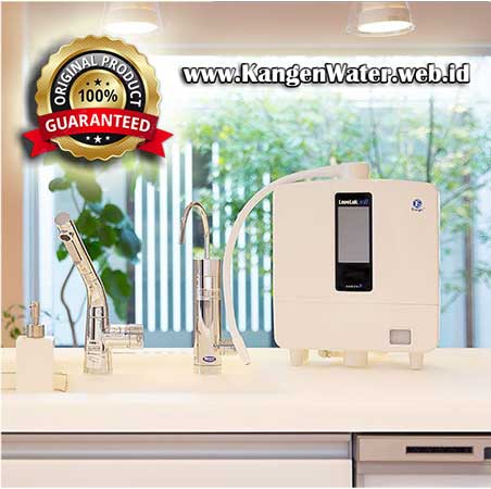 leveluk k8 enagic kangen water harga